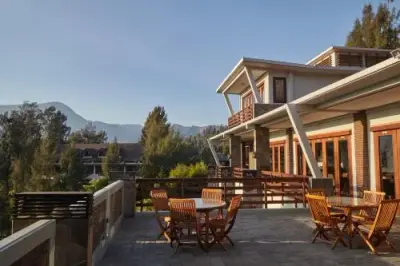 Akomodasi tepi kaldera dekat Gunung Bromo dikelilingi pepohonan dan udara pegunungan