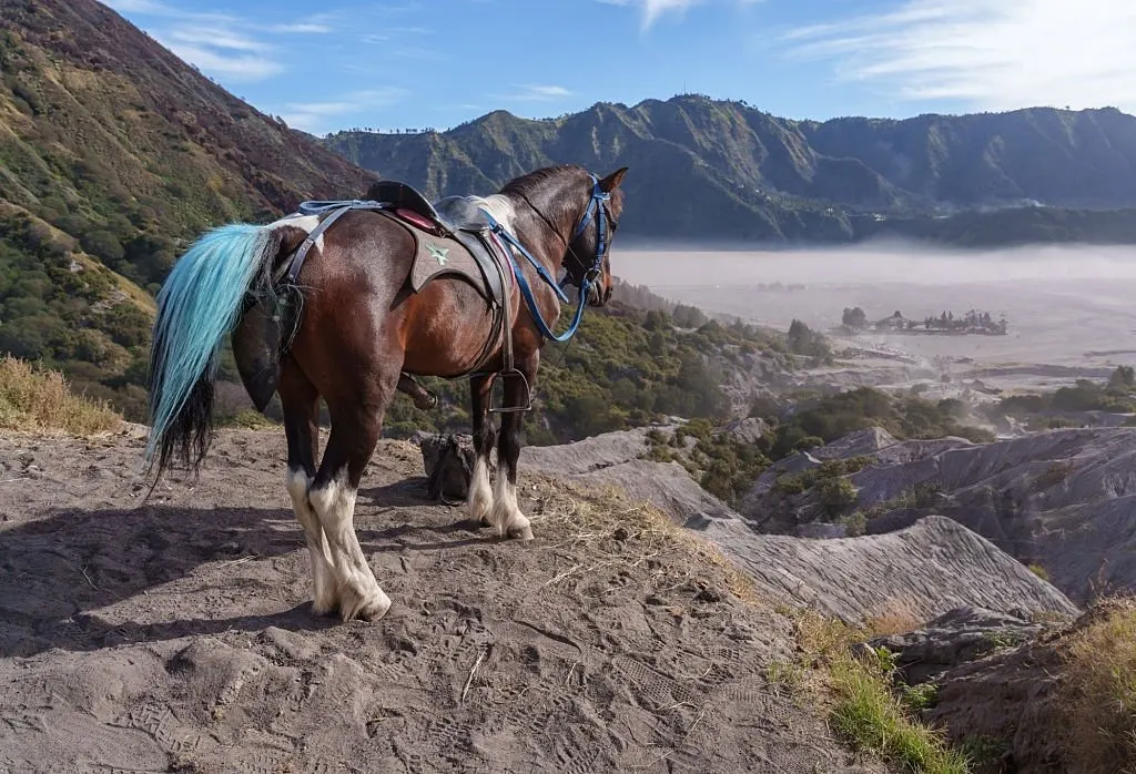 ke Bromo dari Malang dengan perjalanan menuju Gunung Bromo menggunakan mobil dan jeep melalui jalur Tumpang dan akses Probolinggo
