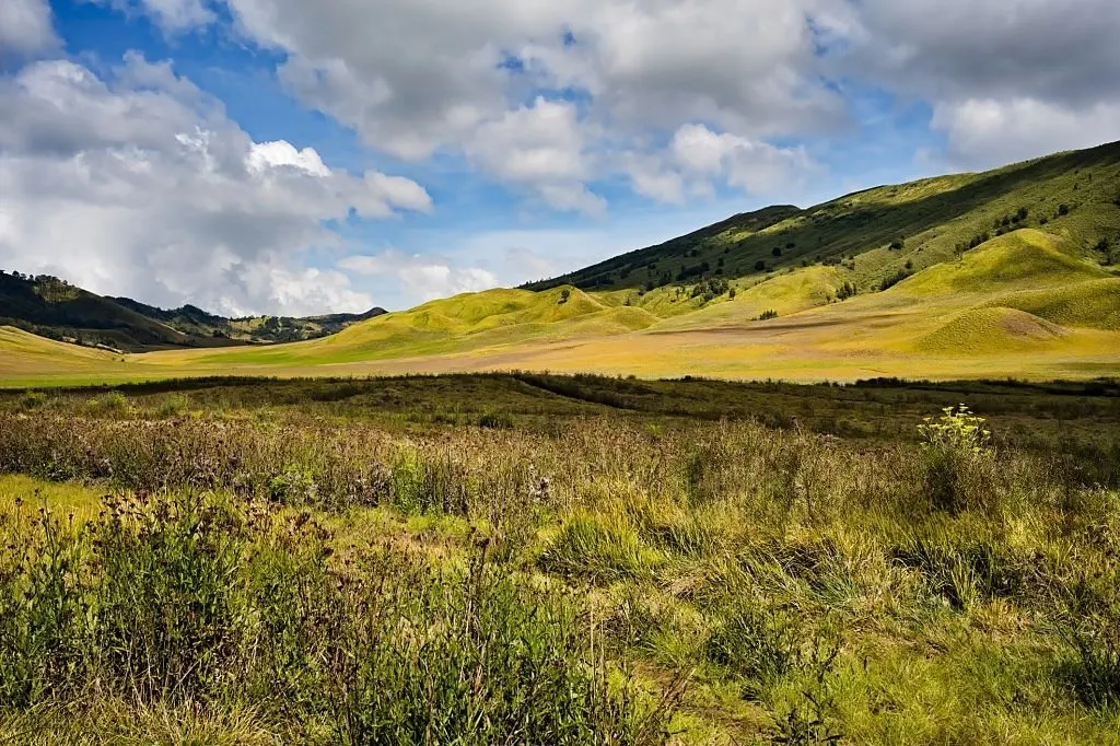 Savana Teletubbies Bromo — padang rumput hijau berbukit bulat di kawasan Taman Nasional Bromo Tengger Semeru