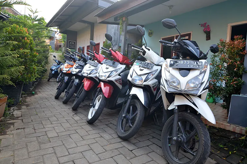 Rental motor untuk wisata Malang dan Jawa Timur
