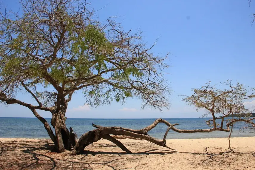 Pantai Bama di Taman Nasional Baluran
