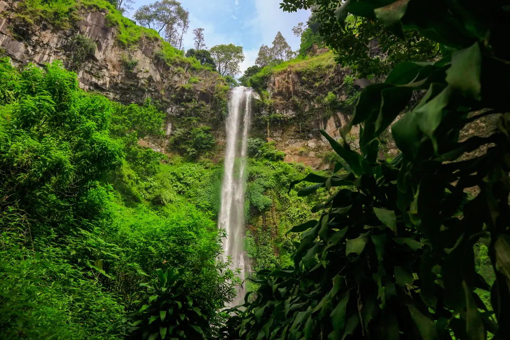 Air terjun Coban Rondo Malang setinggi 84 meter di kawasan Pujon