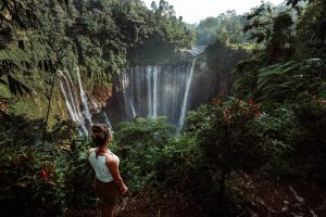 Paket Wisata Tumpak Sewu 1 Hari