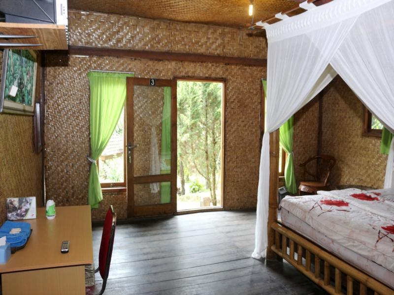 penginapan dekat kawah ijen banyuwangi untuk wisatawan yang mengikuti paket wisata kawah ijen