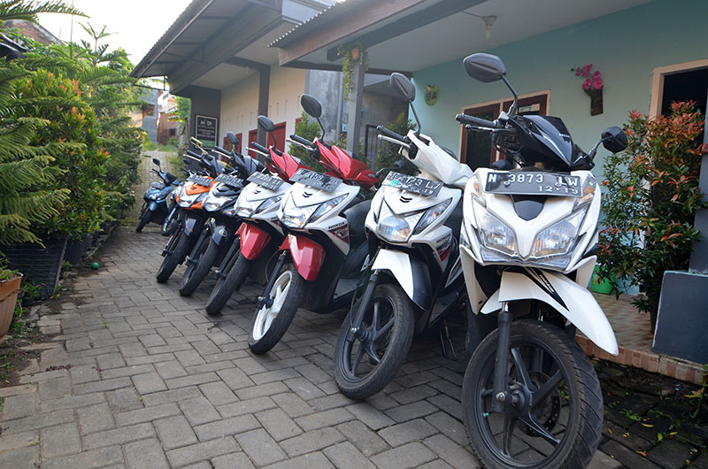 Rental motor untuk wisata Malang dan Jawa Timur