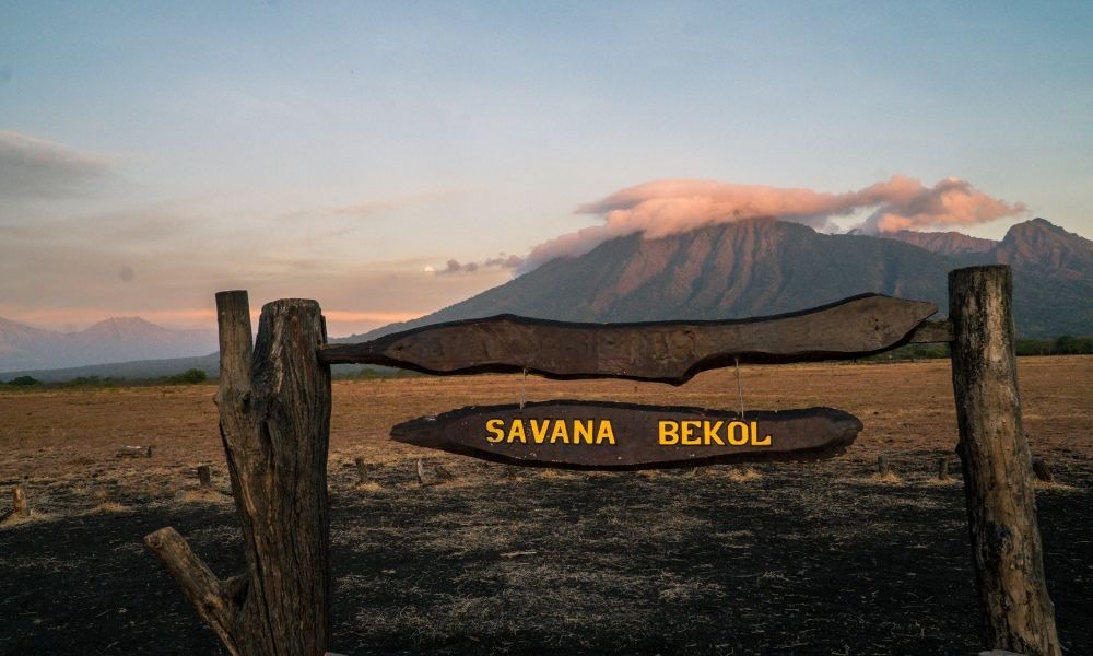 Savana Bekol Baluran Jawa Timur